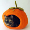 Pumpkin_momo1