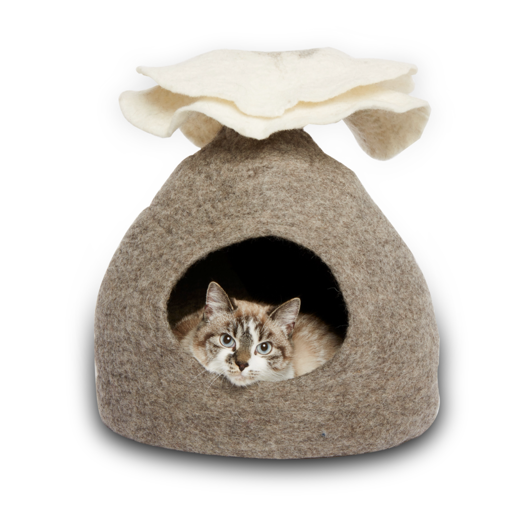 distinctly himalayan cat cave