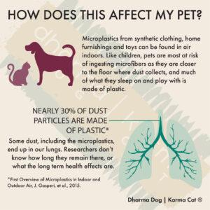 Microplastics Are Bed For Your Pet